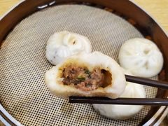 鲜肉小笼包-桐香园小笼包(百井坊巷店)