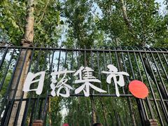 -北京梧桐树双语幼儿园