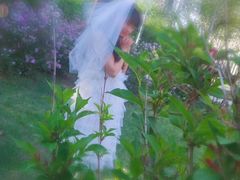 -长春公园(普阳街道)