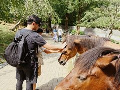 -神户市立六甲山牧场