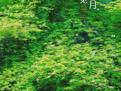 -茅家埠