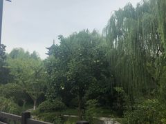 -汉仪华裳汉服旗袍·摄影写真馆(乌镇西栅店)