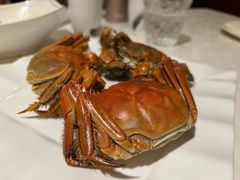 -A One Kitchen·南京精菜馆(德基广场店)
