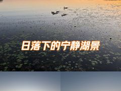 -丁香湖公园