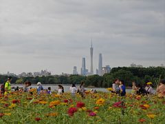 -海珠湖公园