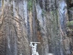 -西双版纳原始森林公园