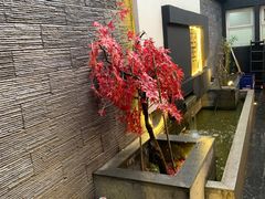 -毛辣果·贵州红酸汤牛肉火锅(西单店)