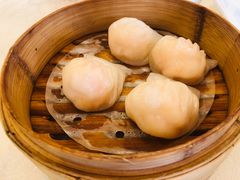 粤珍轩虾饺皇-一品粤珍轩(吴中路店)
