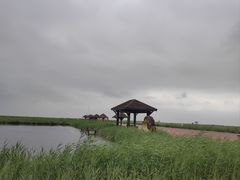 -南大港湿地风景区