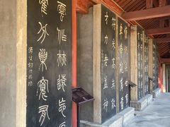 -碑林公园
