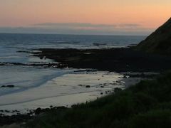 -企鹅岛