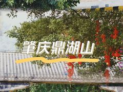 -鼎湖山风景区