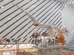 -宝燕乐园(春申店)