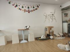 -有喵·猫咖·狗咖·30几只猫10只小狗(岗厦店)