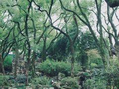 -天一阁博物院