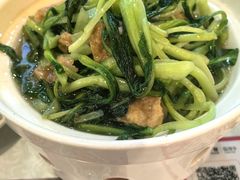 -阿金大白·上海菜馆(新天地店)