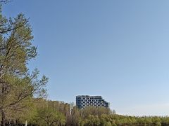 -丁香湖公园