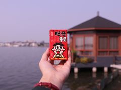 -鹅湖玫瑰文化园