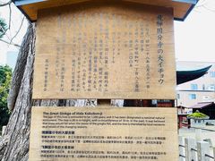 -医王山·飞騨国分寺