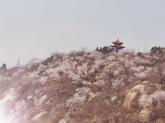 -白水寺森林公园