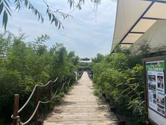 -西青郊野公园