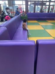 -大连市妇女儿童医疗中心