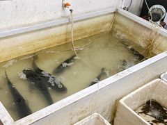 -亭下湖饭店(康岭店)