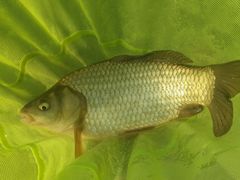 -酷鱼垂钓CLUB(朝阳区博大路店 )