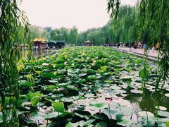 -老舍旧居