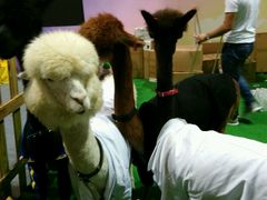 -东浩兰生上海世博展览馆