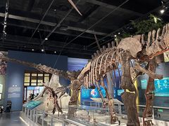 -国家自然博物馆
