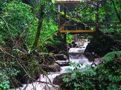 -莫里热带雨林景区
