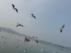 -蠡湖大桥公园