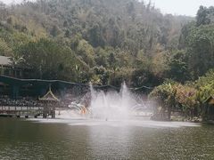 -西双版纳原始森林公园