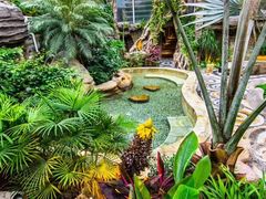 -大东方海鲜酒楼(小武基桥店)