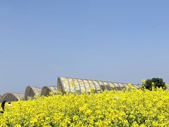 -中国天府农业博览园