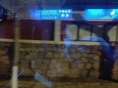 -青岛大学路小学