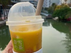 -奈雪的茶(大梅沙8号仓店)