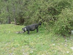 -硗碛藏寨·神木垒景区