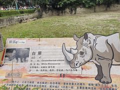 -成都动物园