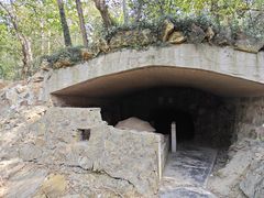 -上海佘山国家森林公园天马山园