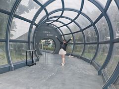 -光明牧业有限公司金山种奶牛场