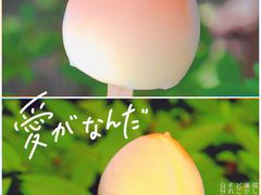 -全家便利店(杭州龙翔桥地铁站店)