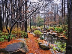 -上海共青森林公园