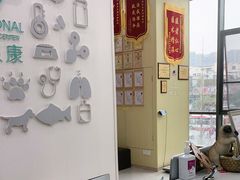 -谐和贝康宠物医院24小时·宠保定点(急重症转诊中心)