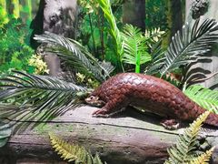 -贵阳市花溪国家城市湿地公园