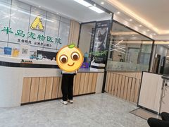 -半岛宠物医院24小时(西派城店)