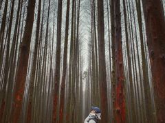 -山王坪喀斯特国家生态公园