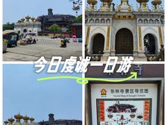 -上海东林寺(金山区)