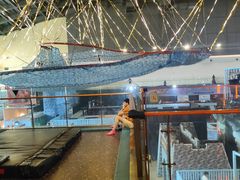 -空气湃·运动嘉年华·团建拓展生日趴·真人CS